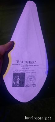 Santiago 2023
Photo by Chris
