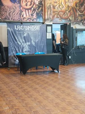 03.06.2025 Mexico-City @ Circo Volador
Photo by Naye
