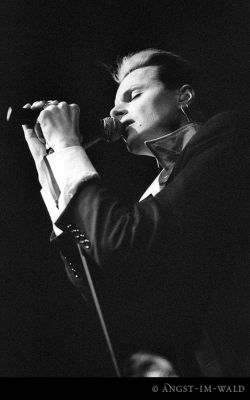 © Angst-Im-Wald
Keywords: lacrimosa,angst im wald