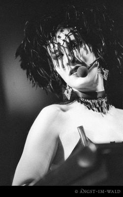 © Angst-Im-Wald
Keywords: lacrimosa,angst im wald